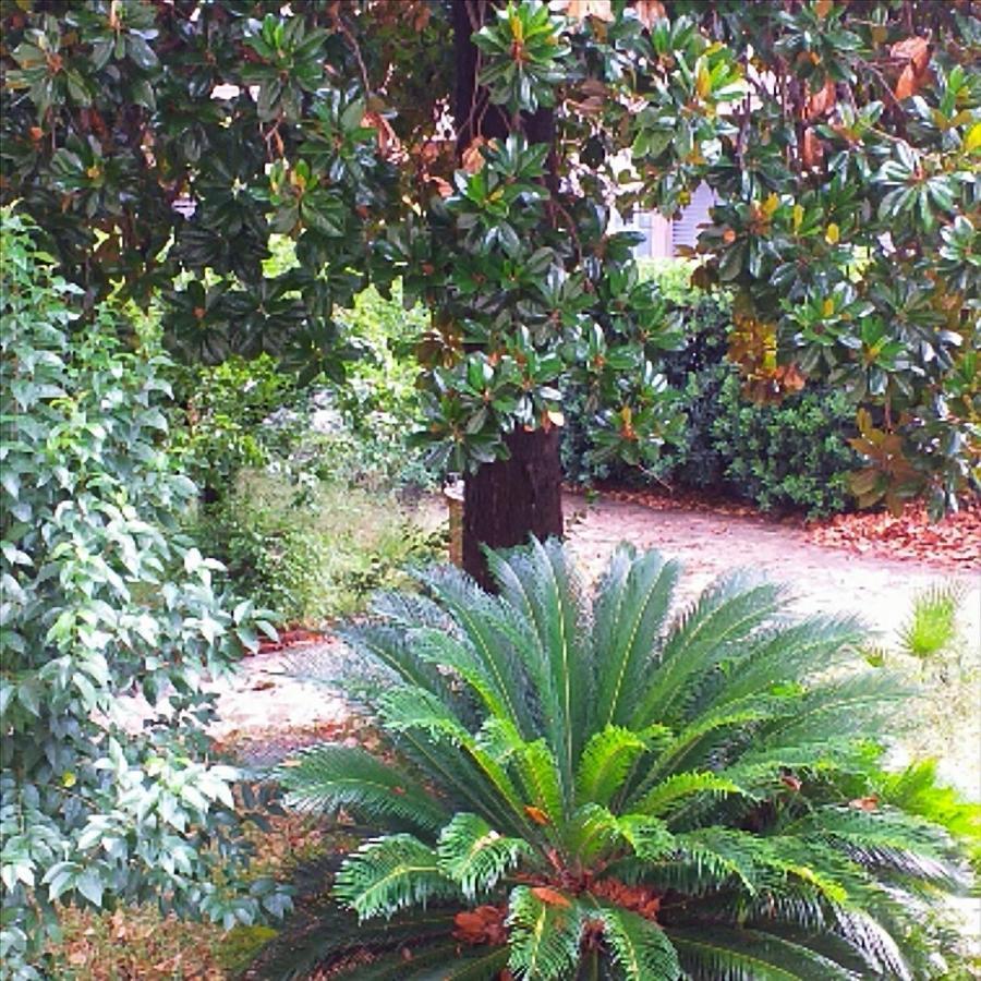 Un Giardino A Due Passi Dal Mare Appartement La Spezia Buitenkant foto