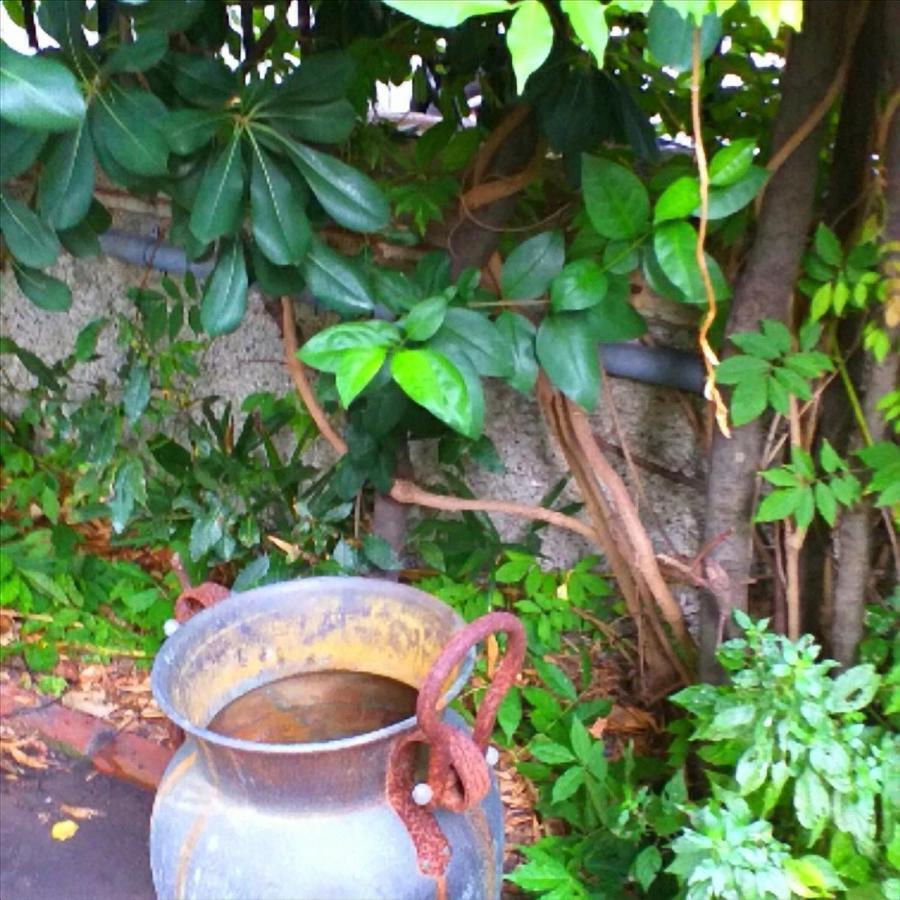 Un Giardino A Due Passi Dal Mare Appartement La Spezia Buitenkant foto